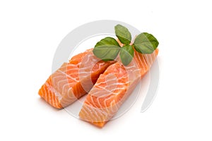 Fresh salmon fillet with basil on the white background