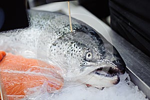 A fresh salmon fillet on ice. horizontal