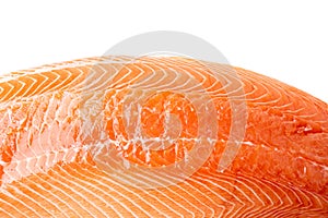 Fresh Salmon Fillet Isolated, Raw Norwegian Red Fish, Trout Meat Piece, Big Fresh Atlantic Salmon Fillet