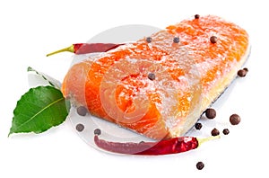 Fresh salmon fillet with salt and spice