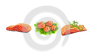 Fresh Salmon Fish Fillet and Slabs on Green Lettuce Lesf as Seafood Product Vector Set