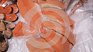 Fresh Salmon in Fish market