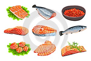 Fresh salmon fish set, fillet, steak and caviar, seafood product vector Illustrations on a white background