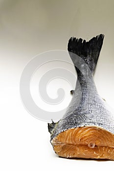 fresh salmon over white background