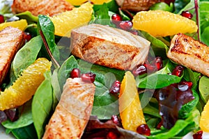 Fresh Salmon Salad with vegetables, pomegranate and orange