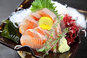 Fresh salmon sashimi