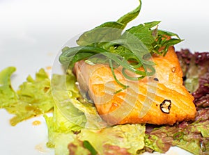 Fresh Salmon Steak served with salad on a ceramic plate.
