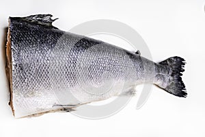 fresh salmon tail over white background