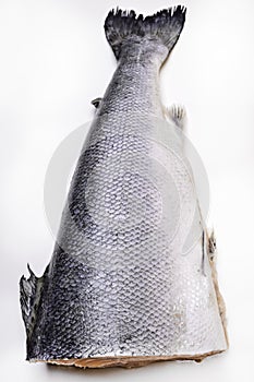 fresh salmon tail over white background