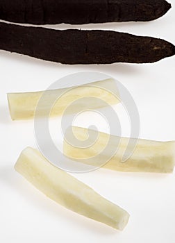 FRESH SALSIFY tragopogon porrifolius AGAINST WHITE BACKGROUND