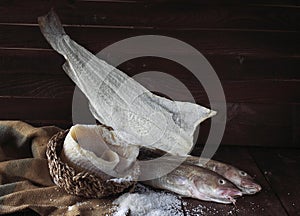 Fresh, Salted and Dried Cod, gadus morhua photo