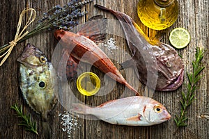 Fresh saltwater fish