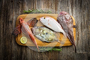 Fresh saltwater fish