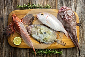 Fresh saltwater fish