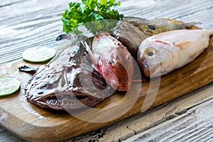 Fresh saltwater fish