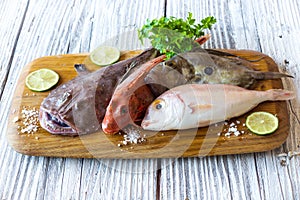 Fresh saltwater fish