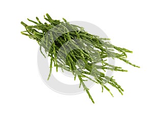 Fresh Samphire