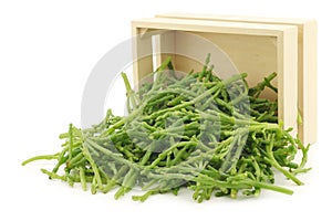 Fresh Samphire