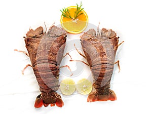 Fresh Sand Lobster or Flathead Lobster or Slipper Lobster decorated with herbs and vegetables .Selective focus photo