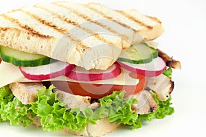 Fresh sandwich with chicken meat