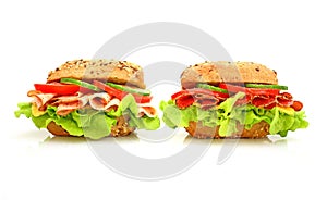 Fresh sandwich with vegetables