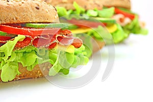 Fresh sandwich with vegetables