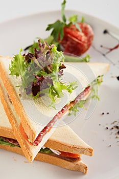 Fresh sandwich on white background