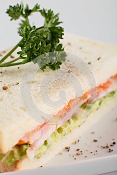 Fresh sandwich on white background
