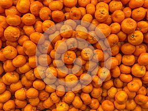 fresh santang oranges, orange fruit, as background, top view