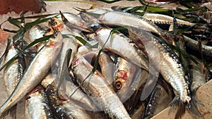 Fresh sardine at a market in Italy