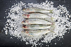 Fresh sardines on a coarse salt layer over a slate background
