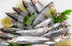 Fresh sardines with parsley and lemon