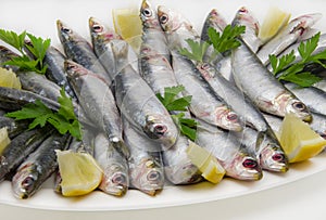 Fresh sardines with parsley and lemon