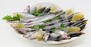Fresh sardines with parsley and lemon