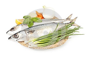 Fresh sardines on a plate