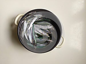 Fresh sardines in a pot from Adriatic sea