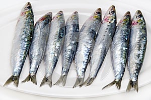 Fresh sardines