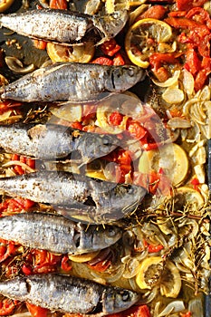 Fresh Sardines with vegetable on a plate