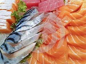 Fresh sashimi in Teradomari fish market