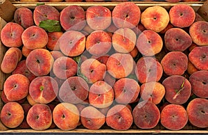 Fresh saturn peaches in a market.