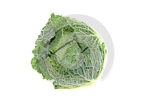 Fresh savoy cabbage