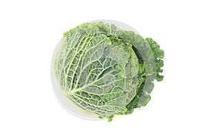 Fresh savoy cabbage