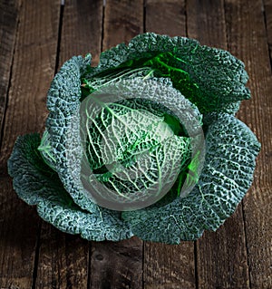 Fresh savoy cabbage