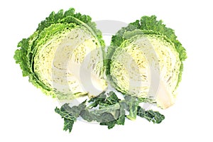 Fresh savoy cabbage halves