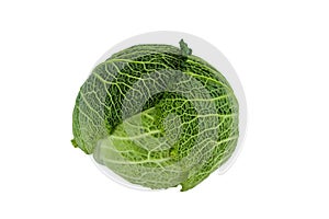 Fresh savoy cabbage isolated over white background