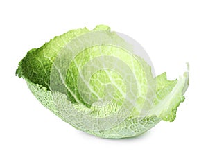 Fresh savoy cabbage leaf isolated