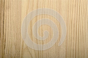 Fresh sawed pine-tree wood texture unpolished photo