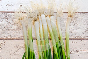 Fresh Scallions