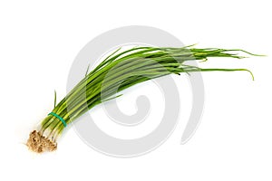 Fresh scallions isolated on white