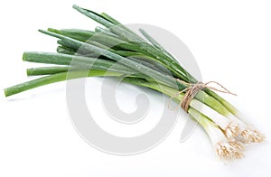 Fresh Scallions isolated on white